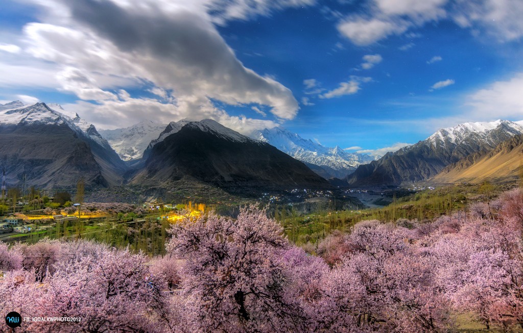 cherry-blossom-in-hunza-1024x653